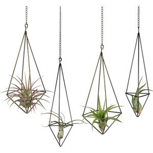 Hanging Geometric Air Plant Holder with Metal Chains, 4 Pack, 2 Sizes